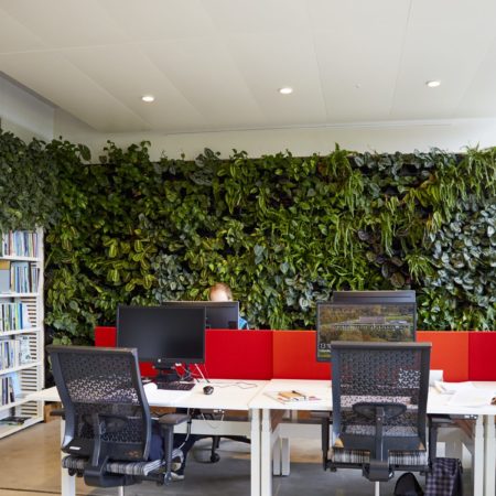 kantoorplek vergroene met een plantenmuur